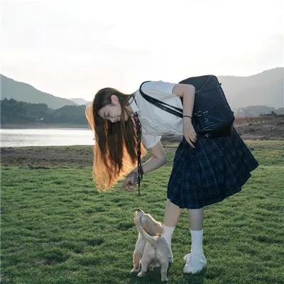 蓝色马蹄莲